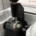 FTIR-Spektrometer - Modell: Lyza 3000