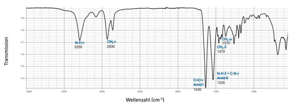 FTIR für PA6